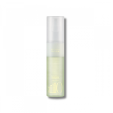 Восстанавливающий крем-спрей для очень повреждённых волос - Anillo Patchouli Garden Damage Repair Cream Hair Mist