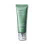 Пенка для глубокого очищения - Anua Heartleaf Quercetinol Pore Deep Cleansing Foam - Фото 1