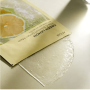 Осветляющая тканевая маска с витамином С - Anua Green Lemon Vita C Blemish Serum Mask - Фото 3