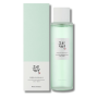 Щоденний зволожуючий та відлущуючий тонер - Beauty Of Joseon Green Plum Refreshing Toner AHA + BHA - Фото 1