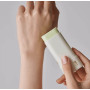 Сонцезахисний стік на основі екстракту полину та зеленого чаю - Beauty Of Joseon Matte Sun: Stick Mugwort + Camelia SPF 50+ PA++++ - Фото 4