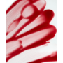 Шампунь для интенсивного ухода за волосами нежно-розовый - Beaver Professional Infuse Color Shine Shampoo Pink - Фото 3