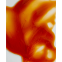 Шампунь для интенсивного ухода за волосами золотисто-бежевый - Beaver Professional Infuse Color Shine Shampoo Brown - Фото 3
