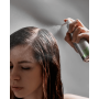 Спрей проти випадіння волосся з біотином та кофеїном - Beaver Professional Biotin & Caffeine Thickening Scalp Treatment - Фото 3