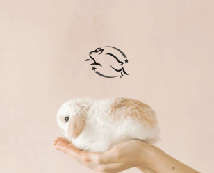 Косметика, которую не тестируют на животных: как выбрать