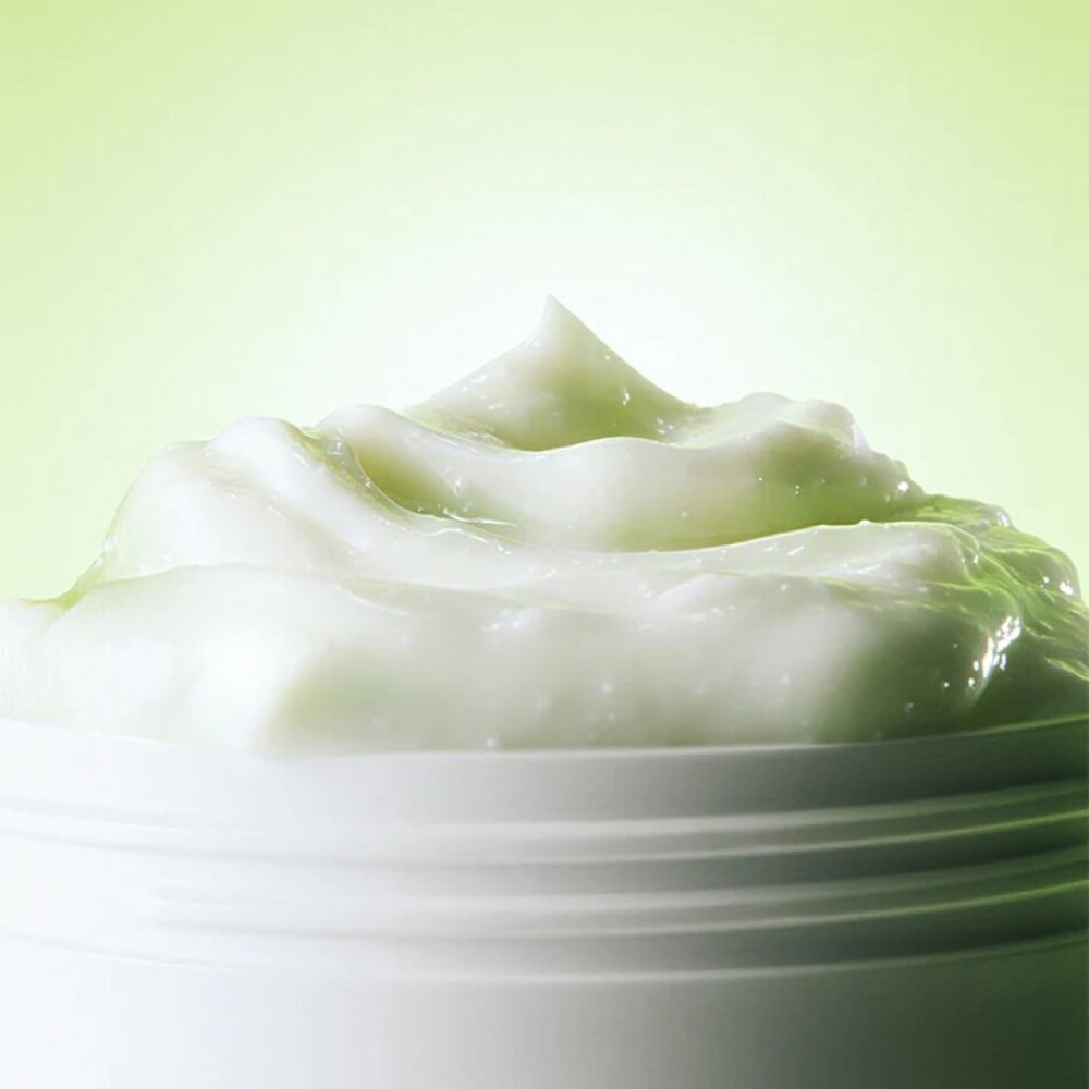Восстанавливающий крем с зеленым чаем и церамидами - By Wishtrend Green Tea & Ceramide Barrier Cream фото 2