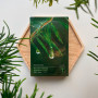 Заспокійлива маска з екстрактом чайного дерева - Dr.Ceuracle Tea Tree Purifine Soothing Mask - Фото 2