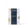 Набір північні зірки Про-Колаген - Elemis Pro-Collagen North Stars Kit - Фото 3