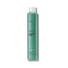 Лак середньої фіксації - Erayba Style Active S10 Working Spray
