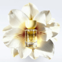Парфюм для волос для максимального блеска - Keune Golden Gloss Hair Perfume For Ultimate Gloss - Фото 3