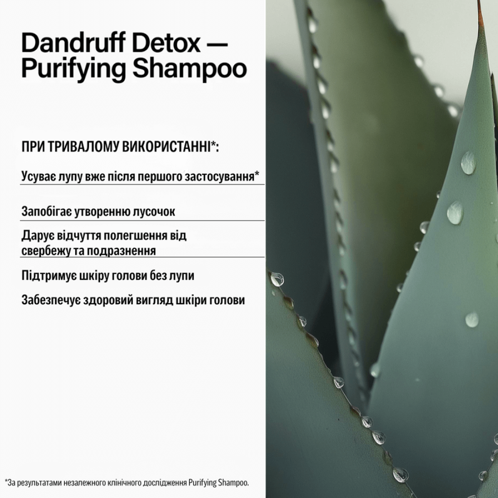 Шампунь проти лупи - Keune Care Dandruff Detox Purifying Shampoo фото 2