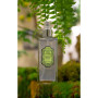 Вода для тіла "Зелений чай та імбир" - La Sultane de Saba Moisturizing Mist Ginger Green Tea Fragrance - Фото 2