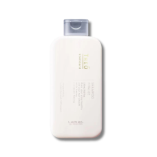Мужской шампунь для кожи головы и волос - Lebel Theo Standard Shampoo Vitalize