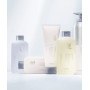Освіжаючий чоловічий шампунь - Lebel Theo Standard Shampoo Ice Fresh - Фото 2