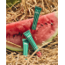 Блеск для губ "Херсонский Арбуз"- Lipss Lipper Kherson Watermelon Lip Gloss фото 3