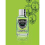 Концентрат для ротової порожнини "М'ята" - Marvis Concentrated Spearmint Mouthwash - Фото 4