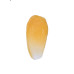 Пілінг для обличчя - Perricone MD Vitamin C Ester Brightening & Exfoliating Polish фото 4