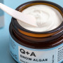 Крем для обличчя зі сніжною водорістю - Q+A Snow Algae Intensive Face Cream - Фото 3