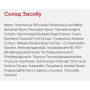 Парфумований міст для волосся - Rated Green Detangling Perfume Hair Mist Peony-Coconut-Sandal - Фото 2