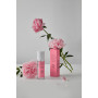 Парфумований міст для волосся - Rated Green Detangling Perfume Hair Mist Peony-Coconut-Sandal - Фото 4