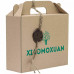 Набір для пошкодженого волосся - Xiaomoxuan Hair Gift Set №3 фото 2
