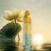 Гель-піна для душу - Rituals The Ritual of Seshen Foaming Shower Gel фото 3