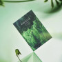 Розслаблююча маска для обличчя - Skin1004 Madagascar Centella Tea-Trica Relaxing Mask - Фото 4