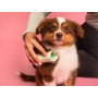 Щітка для вичісування цуценят - Tangle Teezer Pet Teezer Puppy Brush Green - Фото 2