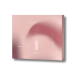 Лімітований набір для губ з SPF 50 - Transparent Lab The Lip Kit Special Edition фото