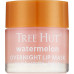 Ночная маска для губ - Tree Hut Watermelon Overnight Lip Mask фото 2