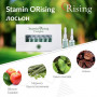 Біоесенція Лосьйон - Orising StaminORising - Фото 5