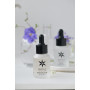 Гель для зрелой кожи - Phyto-C Phyto Plus Gel - Фото 3