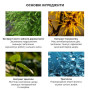 Гель-пінка для вмивання з екстрактом чайного дерева - Dr.Ceuracle Tea Tree Purifine 30 Cleansing Foam - Фото 2