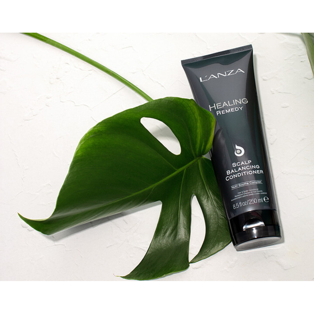 Кондиціонер для волосся та шкіри голови - L'anza Healing Remedy Scalp Balancing Conditioner фото 2