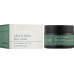 Крем для обличчя з оливковою олією і рослинними екстрактами - Yellow Rose Olive and Herbs Face Cream  фото 2