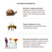 Крем з муцином равлика і бджолиною отрутою - Benton Snail Bee High Content Steam Cream фото 3