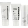 Набор для борьбы с неровным тоном кожи и гиперпигментацией - Dermalogica Dark Spot Solutions Kit - Фото 3