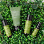 Набор миниатюр с зеленым чаем - Benton Deep Green Tea Trial Kit - Фото 3