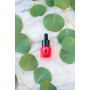 Омолаживающий гель для лица - Phyto-C Velvet Gel - Фото 2