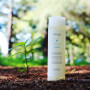 Шампунь восстанавливающий для волос и кожи головы - Lebel Viege Shampoo - Фото 2