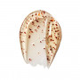 Томат Эксфолиирующий Гель - Ella Bache Tomato Exfoliating Jelly - Фото 2