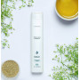 Укрепляющий шампунь - L'anza Healing Strength White Tea Shampoo - Фото 3