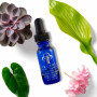Зволожуюча сироватка для обличчя - Circadia Hydralox Facial Oil - Фото 4