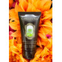 Увлажняющий крем для рук - La Sultane De Saba Moisturizing Hand Cream Champaka & Tropical Flowers - Фото 2