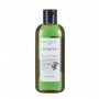 Шампунь с экстрактом морских водорослей - Lebel Seaweed Shampoo - Фото 1