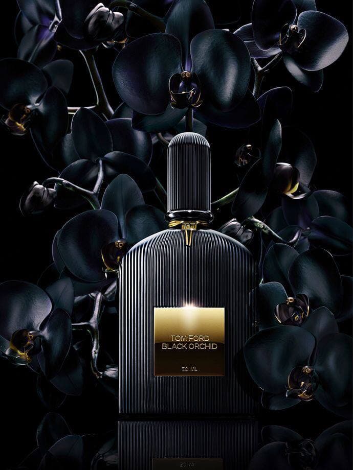 Женские и мужские ароматы бренда Tom Ford. Какой знаменитый парфюм из коллекции Tom Ford - Cosmy
